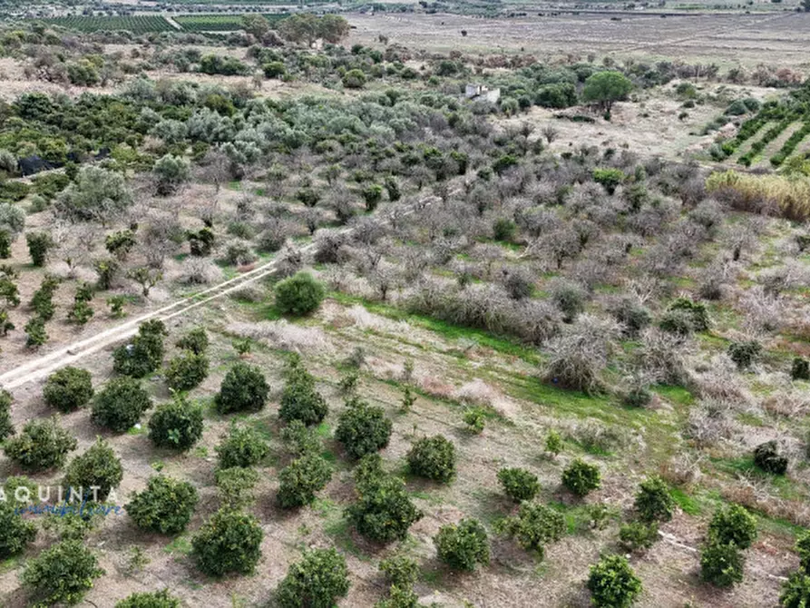 Immagine 7 di Terreno in vendita  in c.da Xirumi snc / a Lentini