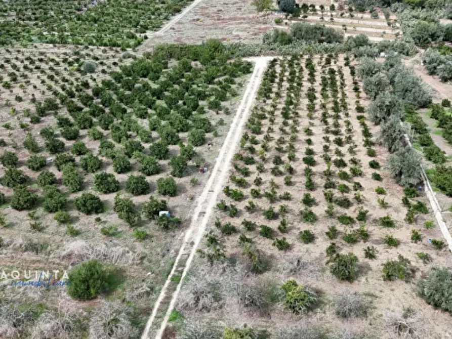Immagine 10 di Terreno in vendita  in c.da Xirumi snc / a Lentini
