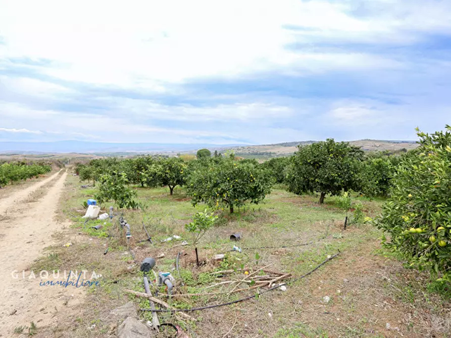 Immagine 13 di Terreno in vendita  in c.da Xirumi snc / a Lentini