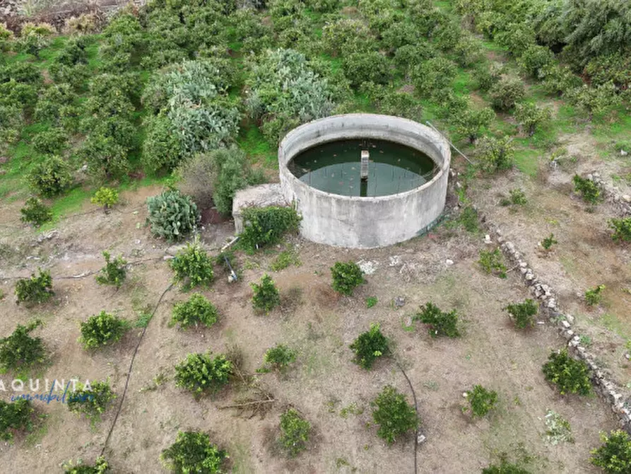 Immagine 14 di Terreno in vendita  in c.da Xirumi snc / a Lentini