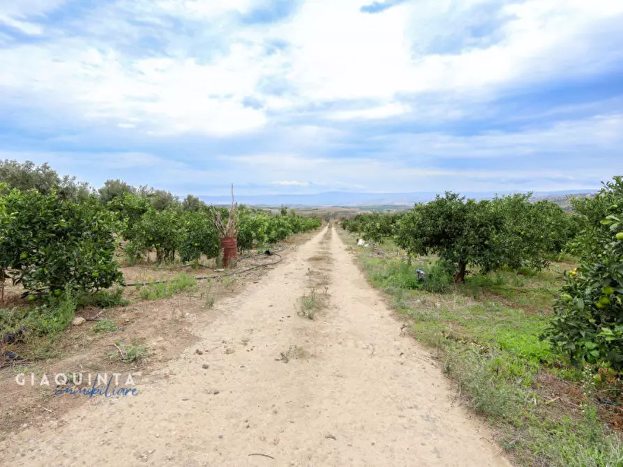Immagine 15 di Terreno in vendita  in c.da Xirumi snc / a Lentini