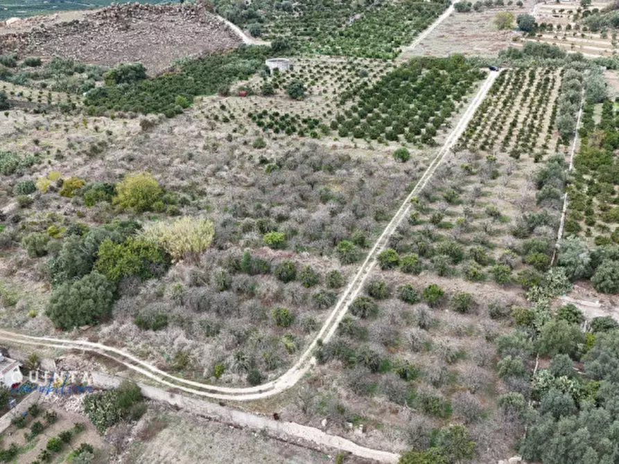 Immagine 16 di Terreno in vendita  in c.da Xirumi snc / a Lentini