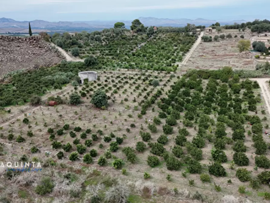 Immagine 17 di Terreno in vendita  in c.da Xirumi snc / a Lentini