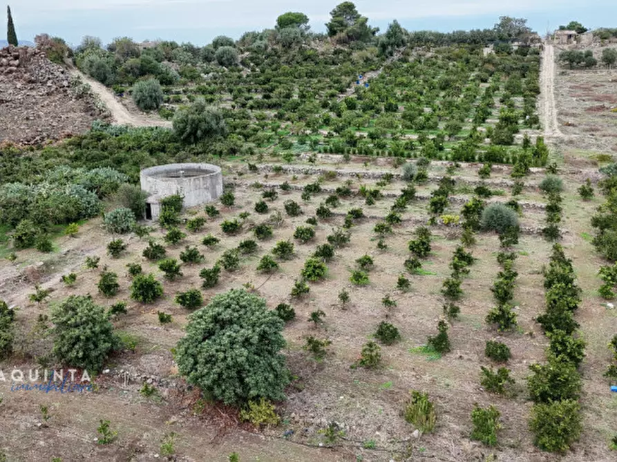 Immagine 18 di Terreno in vendita  in c.da Xirumi snc / a Lentini