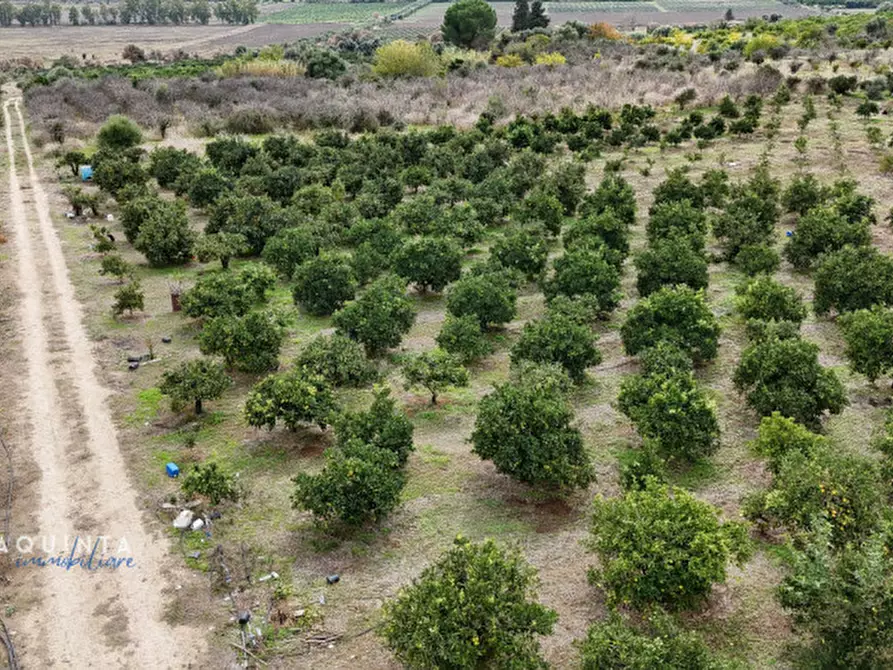 Immagine 22 di Terreno in vendita  in c.da Xirumi snc / a Lentini