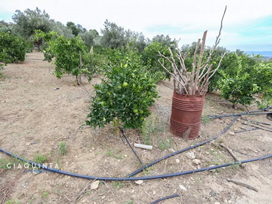 Immagine 24 di Terreno in vendita  in c.da Xirumi snc / a Lentini