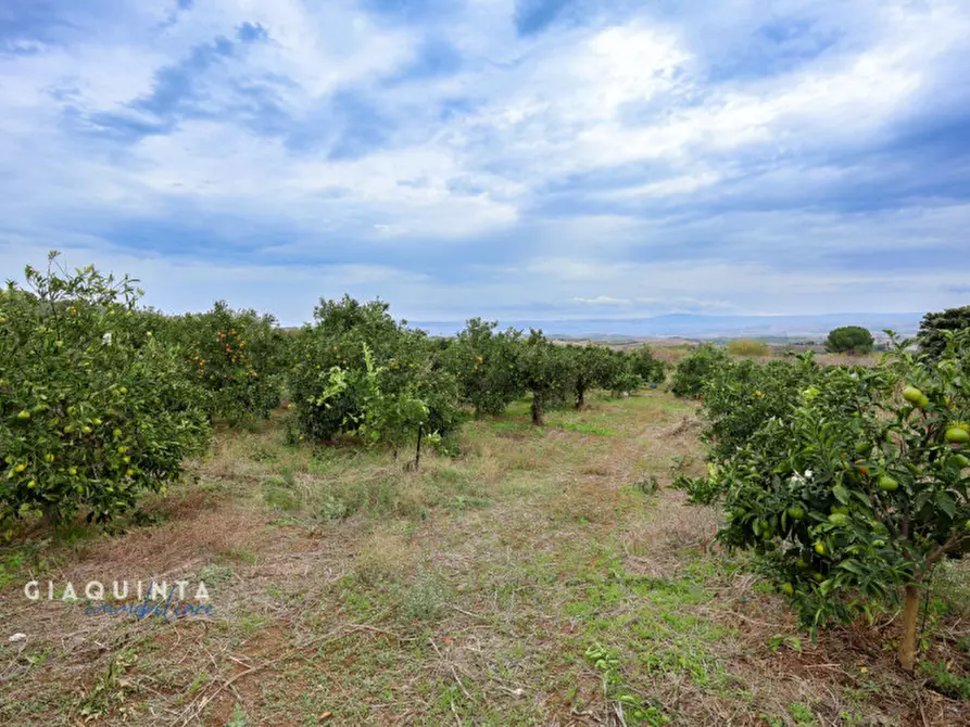 Immagine 26 di Terreno in vendita  in c.da Xirumi snc / a Lentini