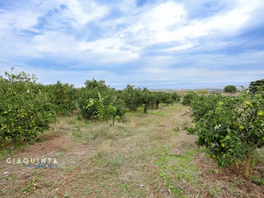 Immagine 27 di Terreno in vendita  in c.da Xirumi snc / a Lentini