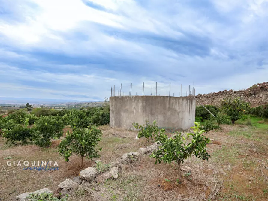 Immagine 28 di Terreno in vendita  in c.da Xirumi snc / a Lentini