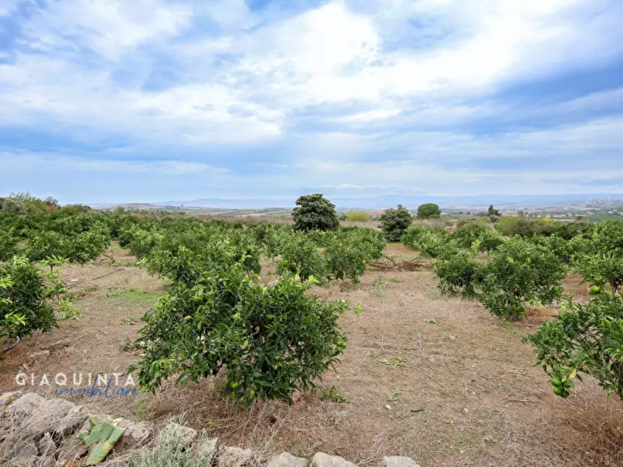 Immagine 29 di Terreno in vendita  in c.da Xirumi snc / a Lentini