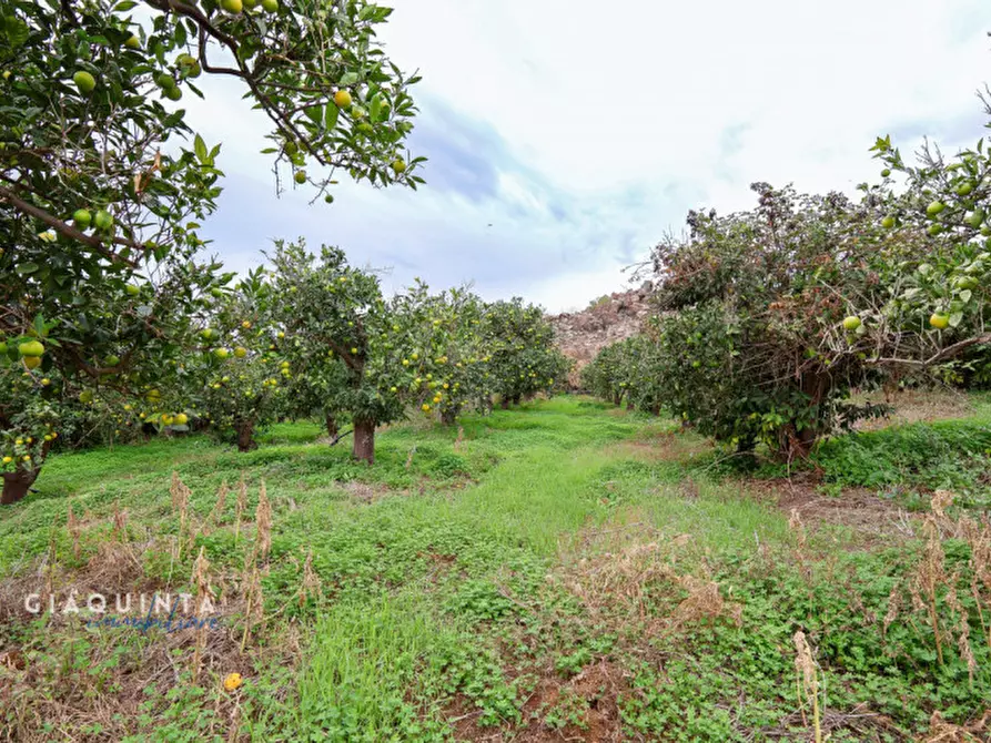 Immagine 30 di Terreno in vendita  in c.da Xirumi snc / a Lentini