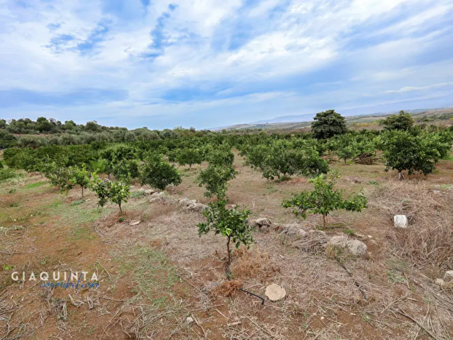 Immagine 31 di Terreno in vendita  in c.da Xirumi snc / a Lentini