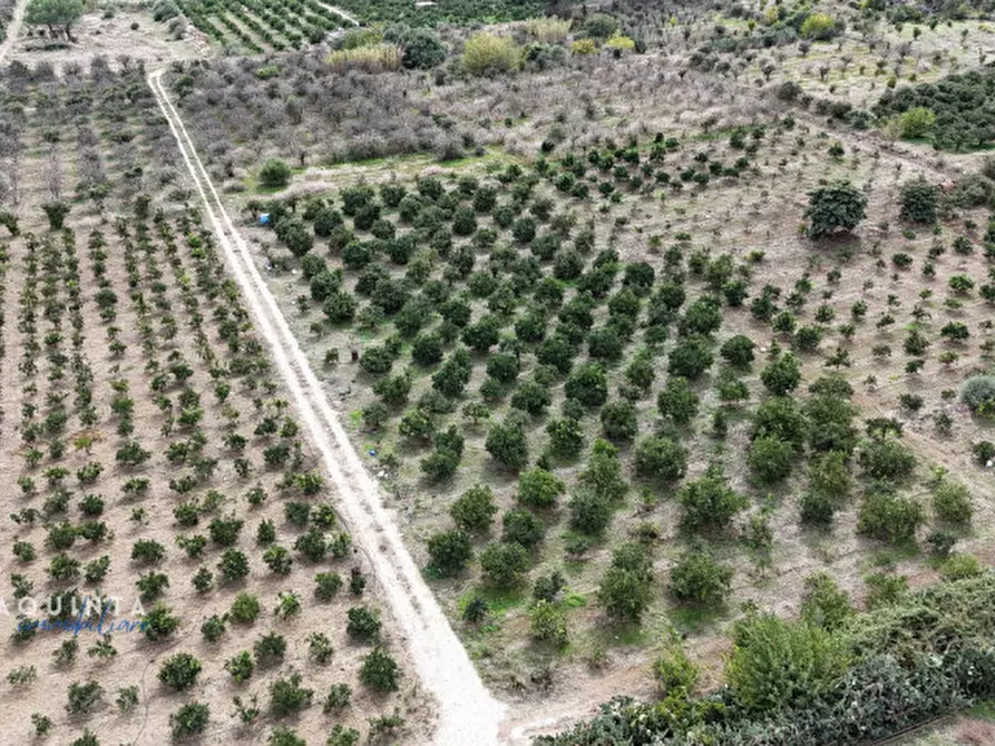 Immagine 32 di Terreno in vendita  in c.da Xirumi snc / a Lentini