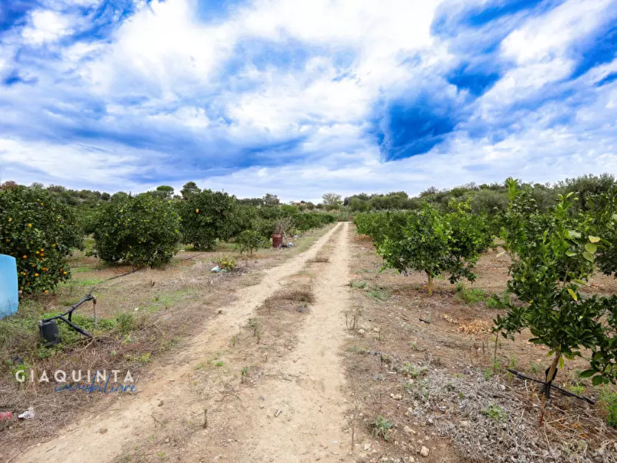 Immagine 33 di Terreno in vendita  in c.da Xirumi snc / a Lentini