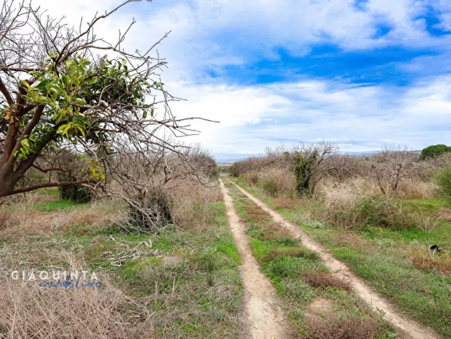 Immagine 35 di Terreno in vendita  in c.da Xirumi snc / a Lentini