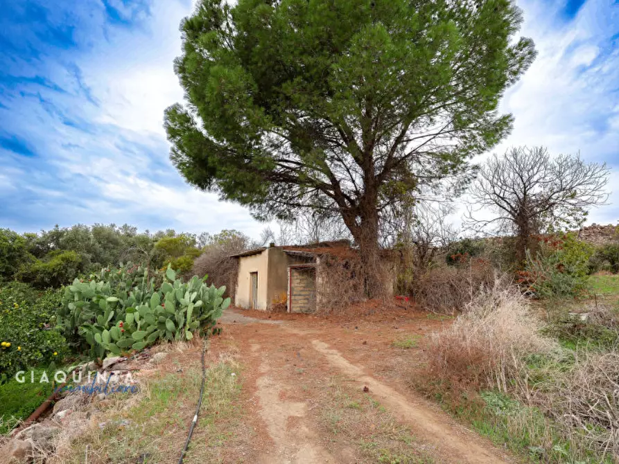 Immagine 36 di Terreno in vendita  in c.da Xirumi snc / a Lentini