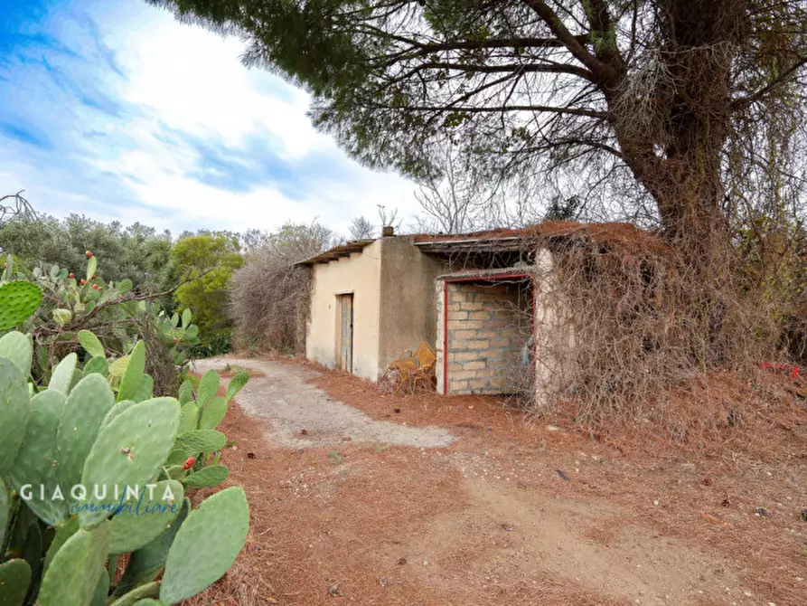 Immagine 37 di Terreno in vendita  in c.da Xirumi snc / a Lentini