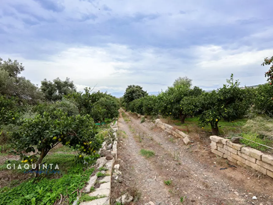 Immagine 40 di Terreno in vendita  in c.da Xirumi snc / a Lentini