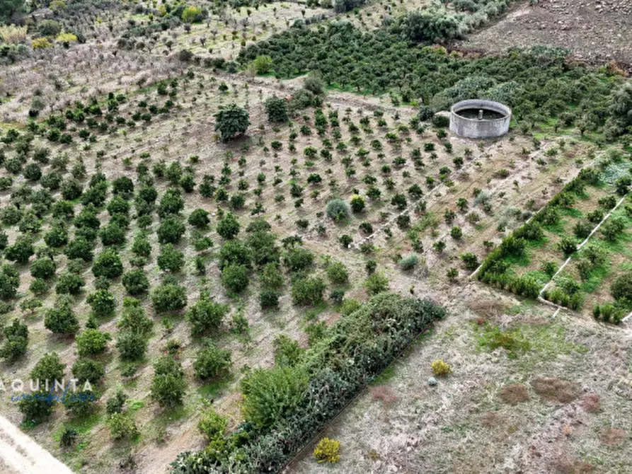 Immagine 41 di Terreno in vendita  in c.da Xirumi snc / a Lentini