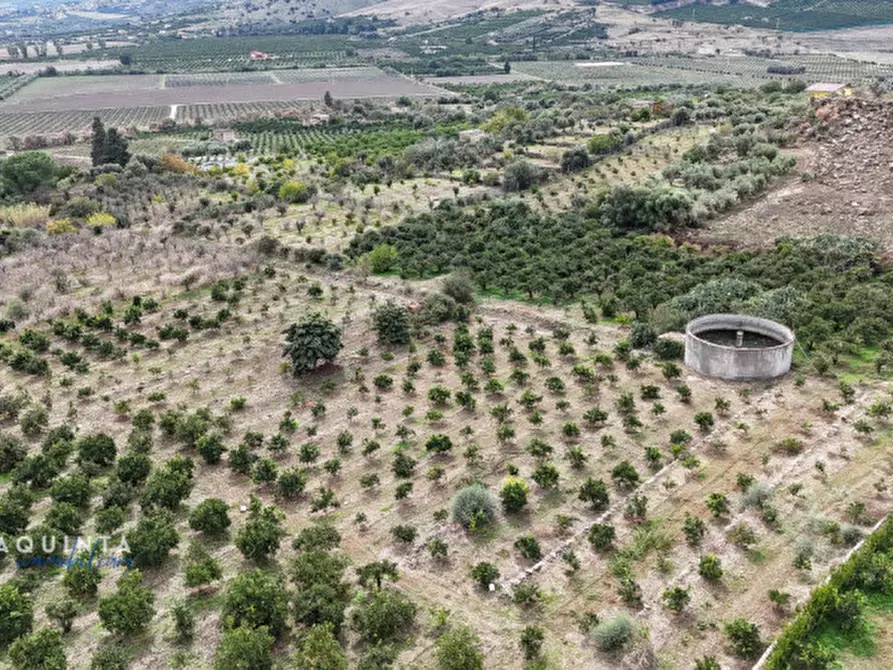 Immagine 42 di Terreno in vendita  in c.da Xirumi snc / a Lentini