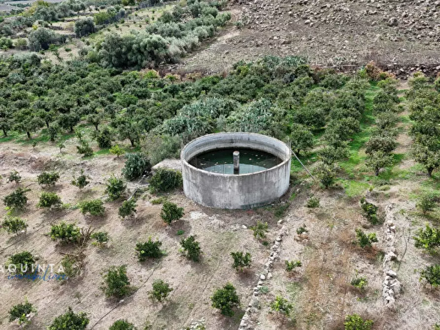 Immagine 43 di Terreno in vendita  in c.da Xirumi snc / a Lentini