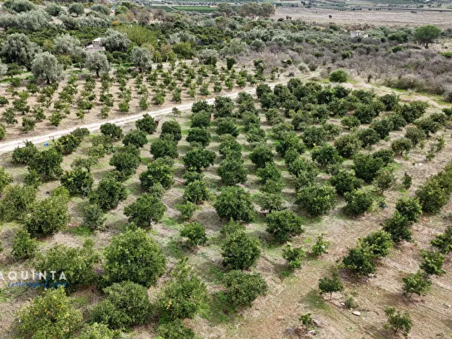 Immagine 45 di Terreno in vendita  in c.da Xirumi snc / a Lentini