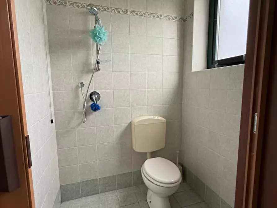 Immagine 3 di Capannone industriale in vendita  in viale del lavoro a Solesino