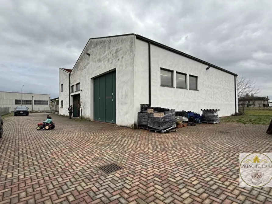 Immagine 6 di Capannone industriale in vendita  in viale del lavoro a Solesino