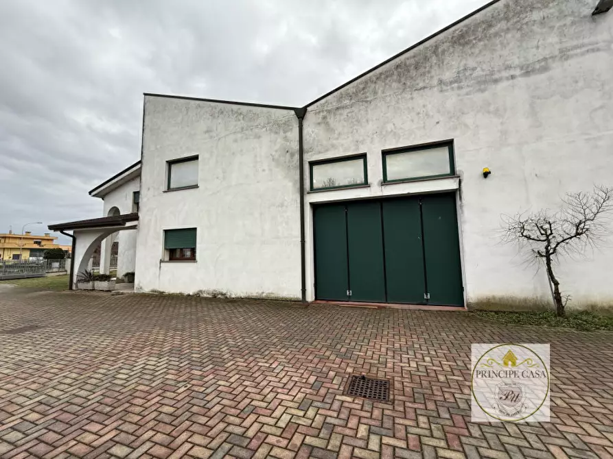 Immagine 7 di Capannone industriale in vendita  in viale del lavoro a Solesino