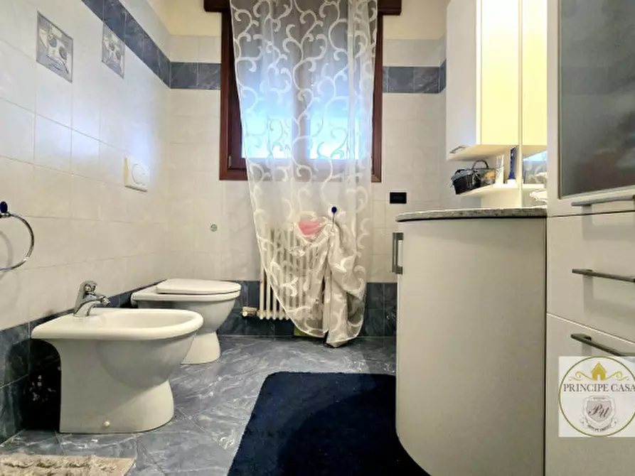 Immagine 8 di Capannone industriale in vendita  in viale del lavoro a Solesino