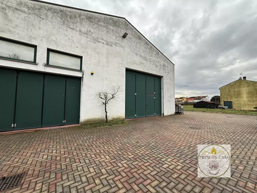 Immagine 26 di Capannone industriale in vendita  in viale del lavoro a Solesino
