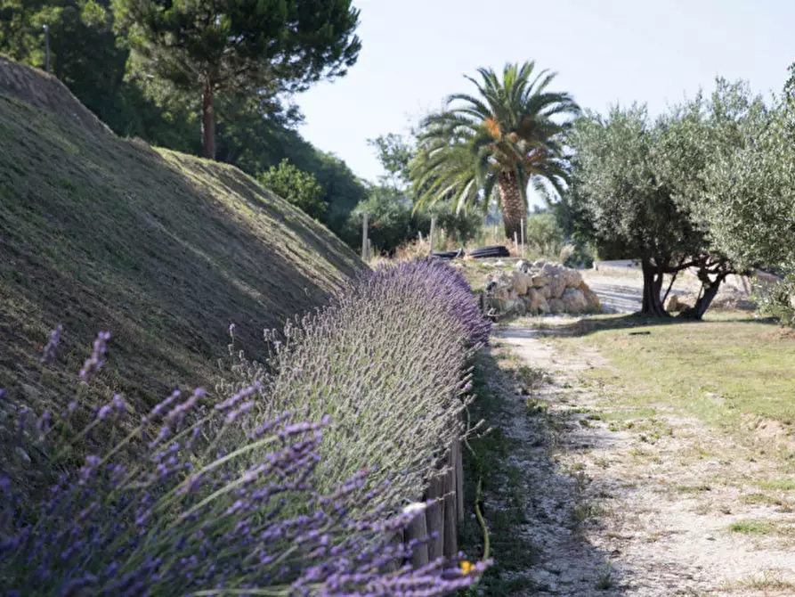 Immagine 20 di Villa in vendita  a Fossacesia