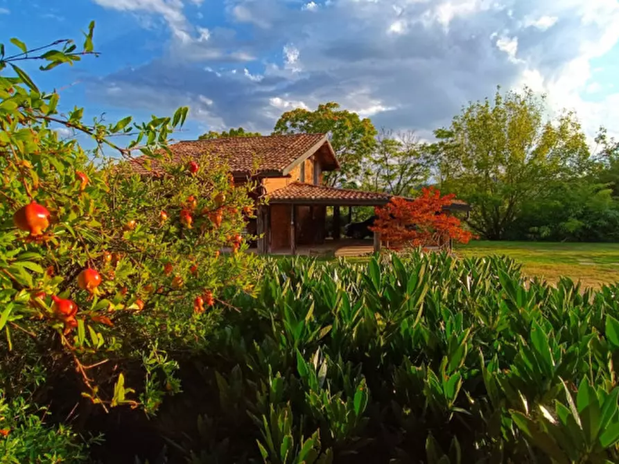 Immagine 14 di Agriturismo in vendita  in Strada di Tabiano 58 a Fidenza