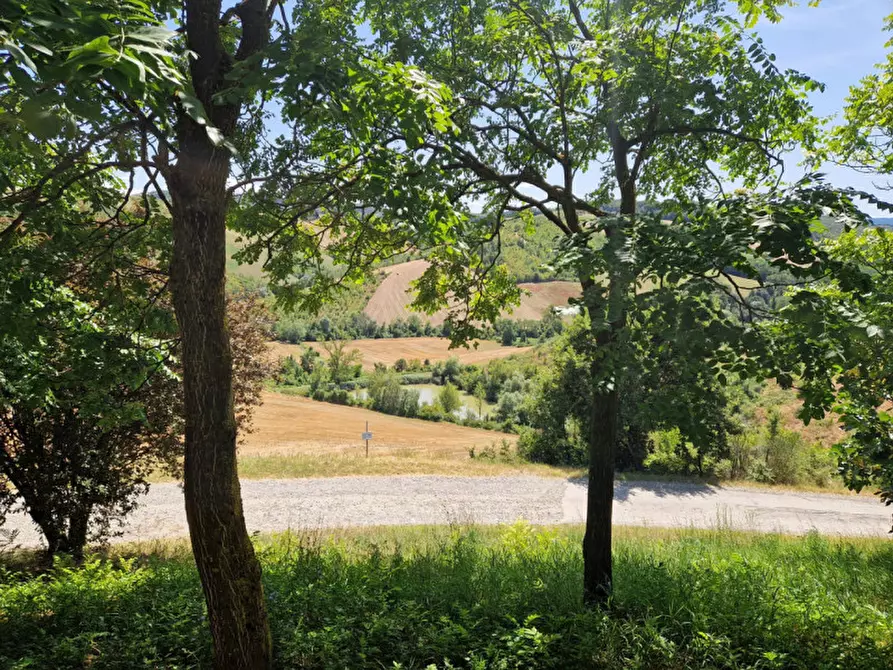 Immagine 57 di Agriturismo in vendita  in Strada di Tabiano 58 a Fidenza