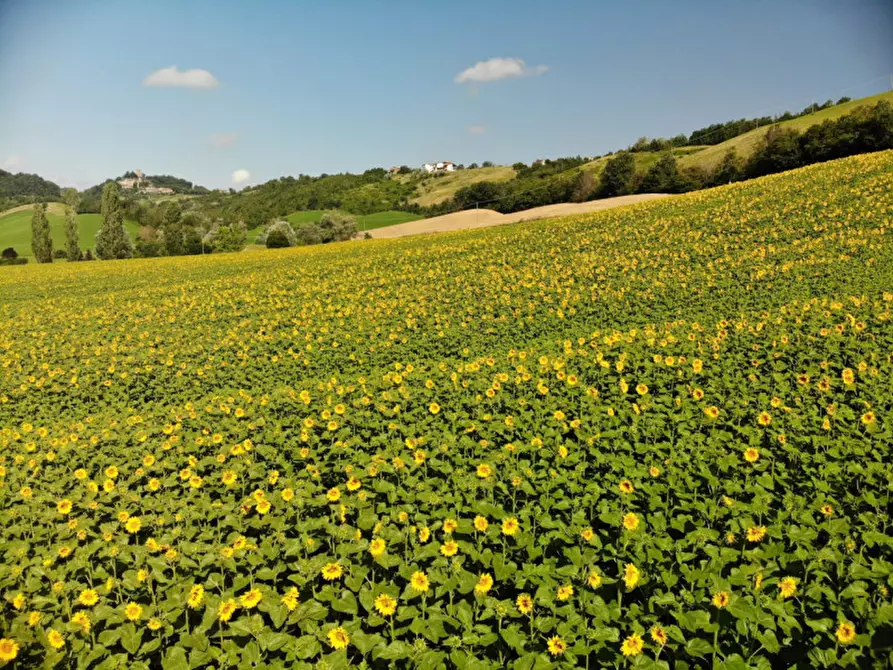 Immagine 58 di Agriturismo in vendita  in Strada di Tabiano 58 a Fidenza