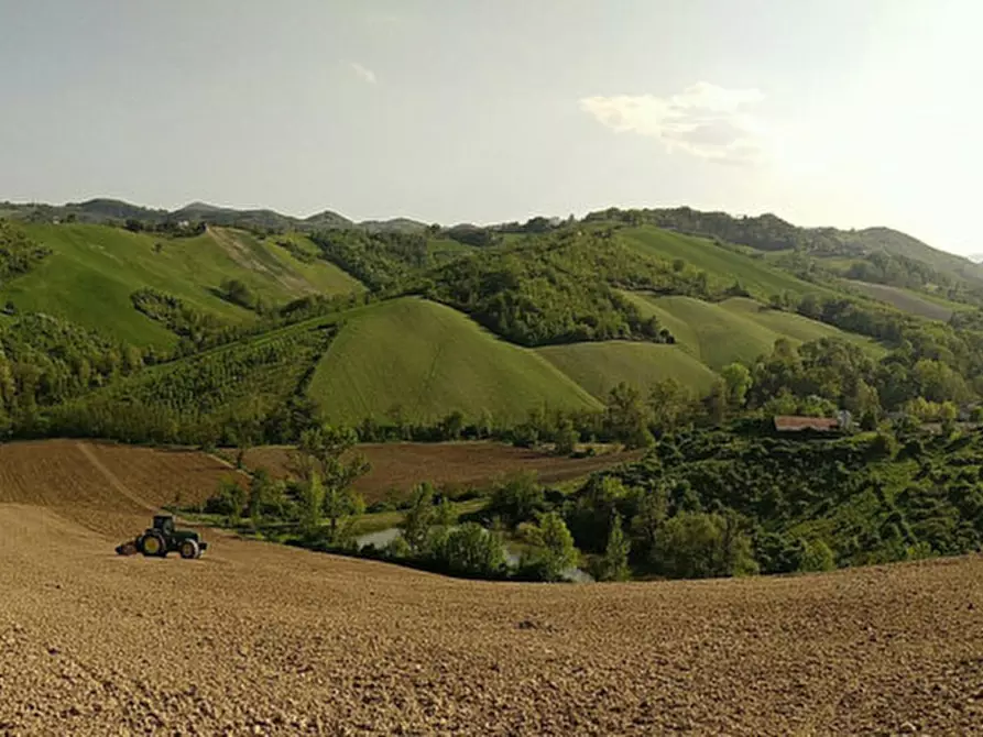 Immagine 60 di Agriturismo in vendita  in Strada di Tabiano 58 a Fidenza
