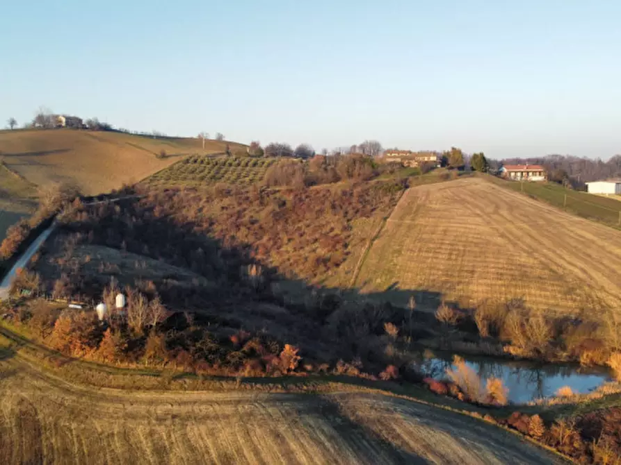Immagine 61 di Agriturismo in vendita  in Strada di Tabiano 58 a Fidenza