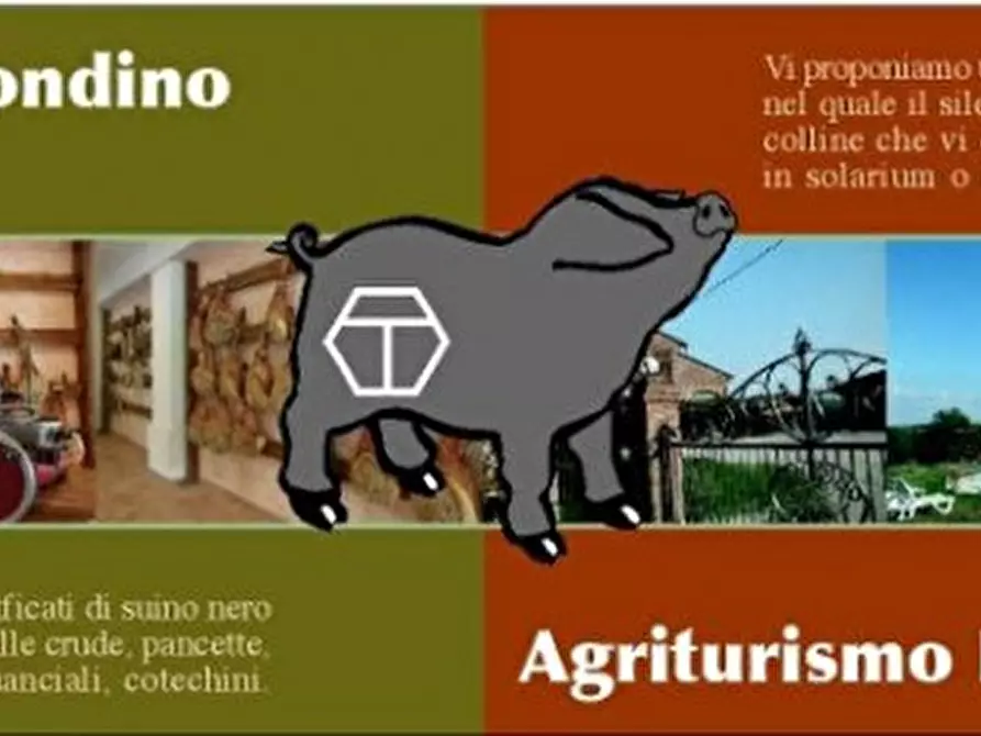 Immagine 69 di Agriturismo in vendita  in Strada di Tabiano 58 a Fidenza