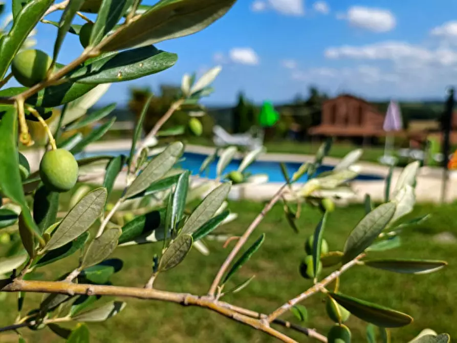 Immagine 76 di Agriturismo in vendita  in Strada di Tabiano 58 a Fidenza