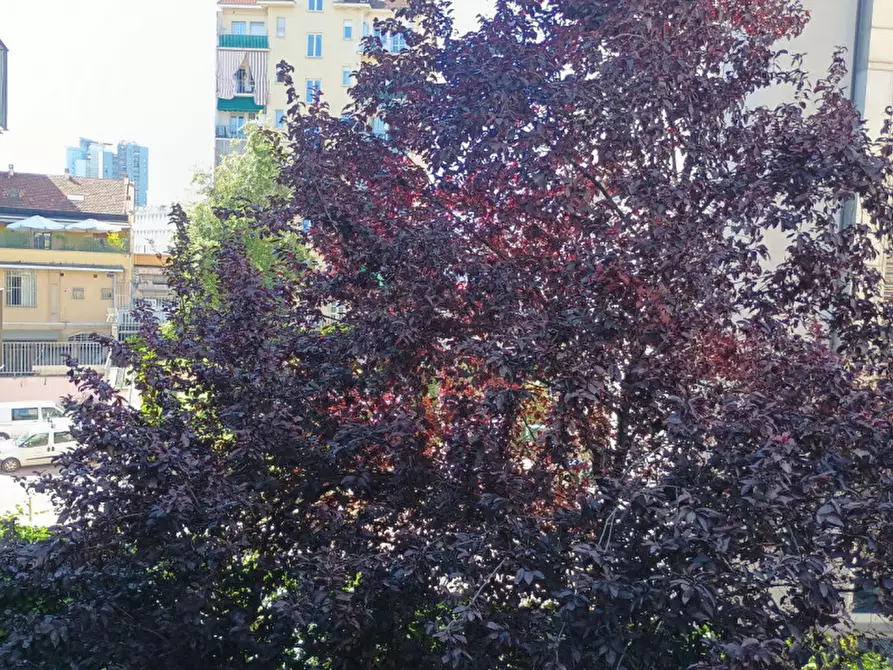 Immagine 12 di Monolocale in vendita  in Via Antonio Cecchi 63 a Torino