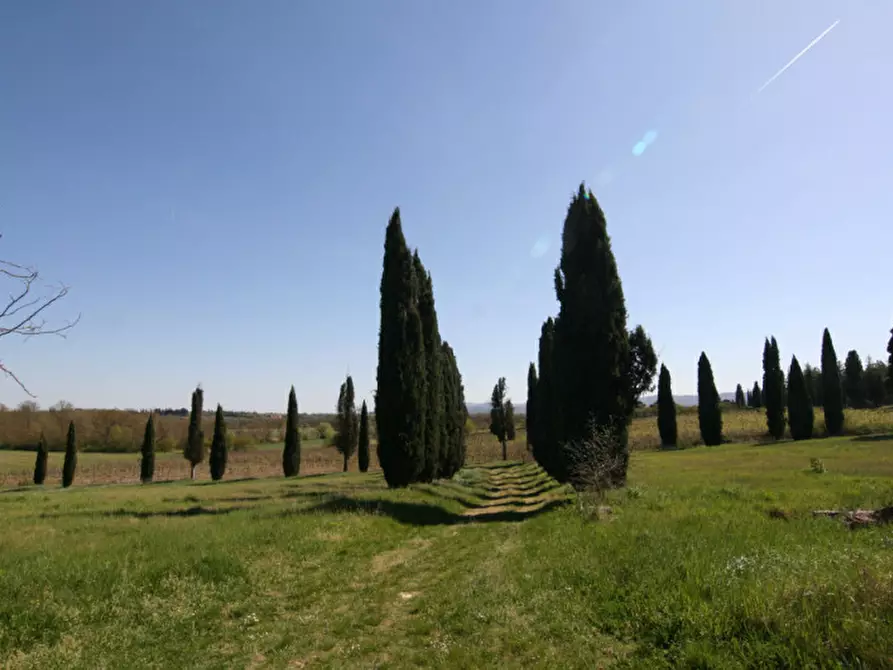 Immagine 3 di Rustico / casale in vendita  a Lucignano