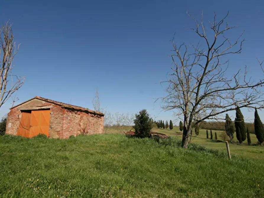 Immagine 4 di Rustico / casale in vendita  a Lucignano