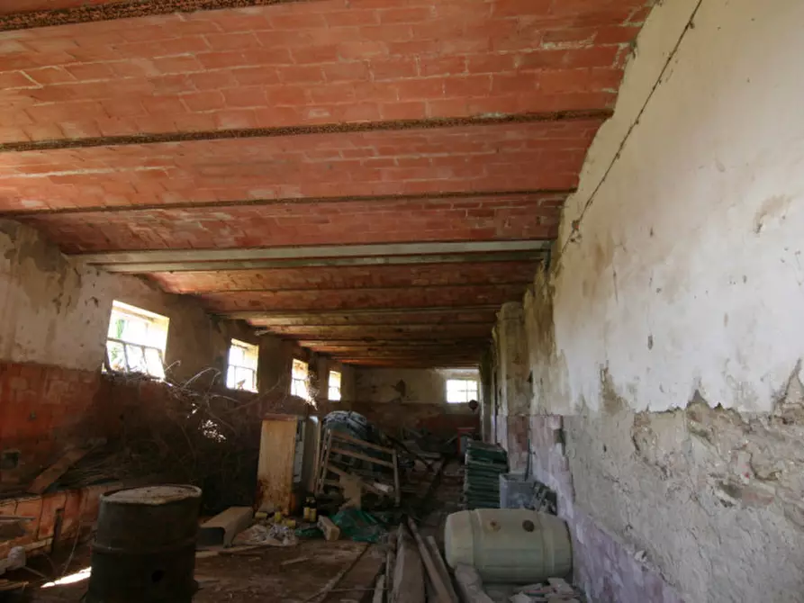 Immagine 8 di Rustico / casale in vendita  a Lucignano