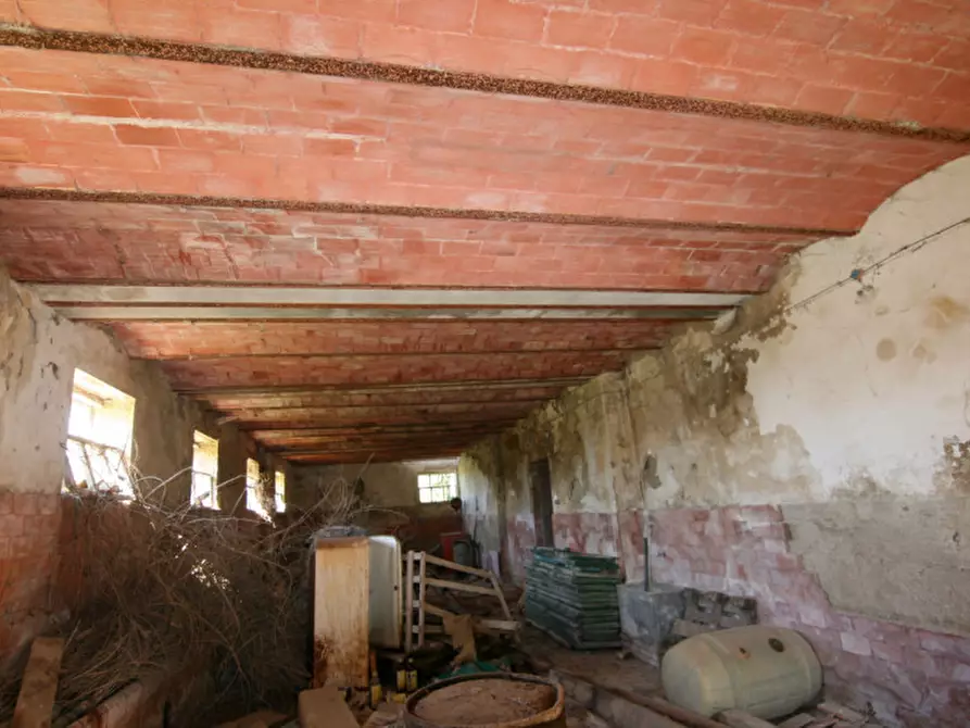 Immagine 9 di Rustico / casale in vendita  a Lucignano
