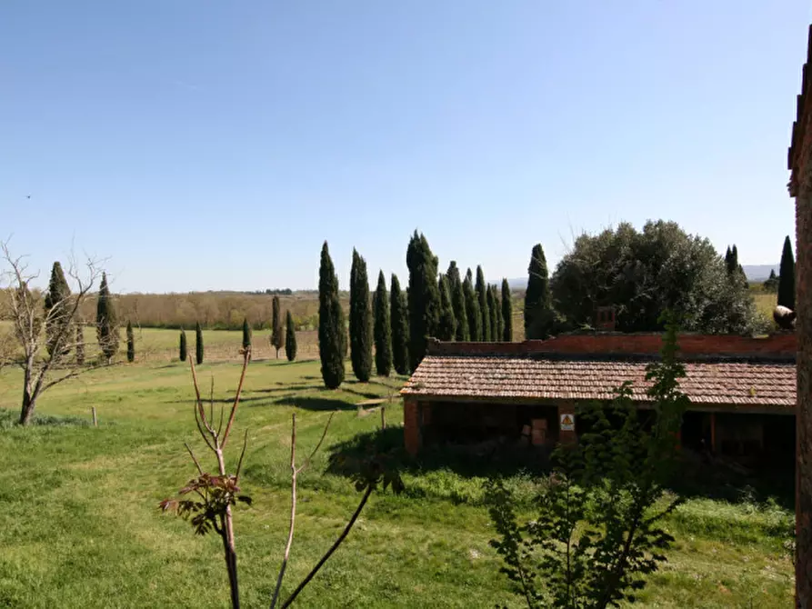 Immagine 12 di Rustico / casale in vendita  a Lucignano