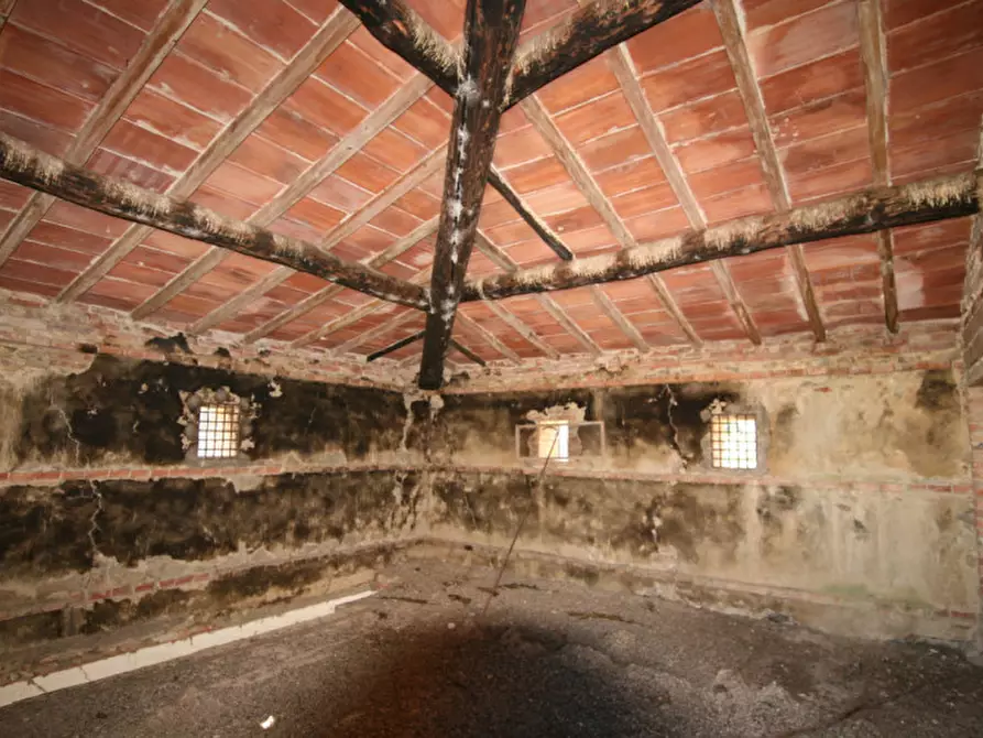Immagine 13 di Rustico / casale in vendita  a Lucignano