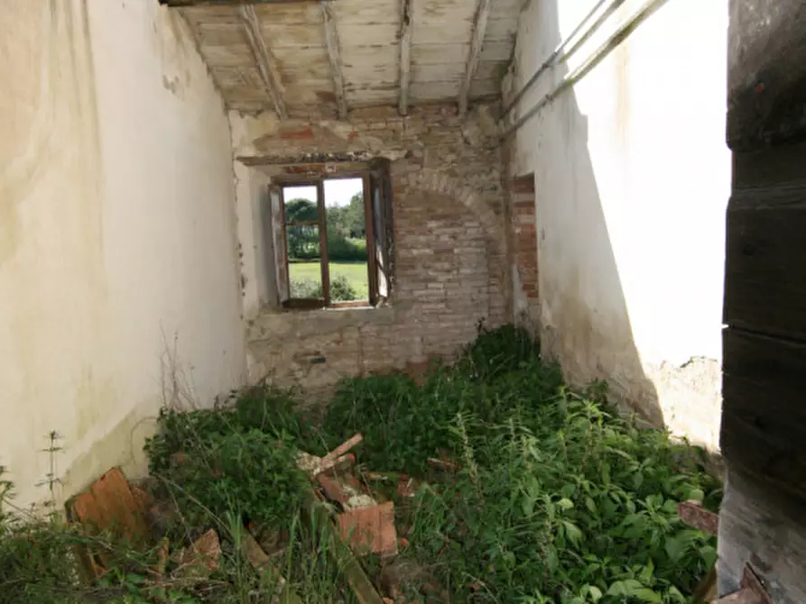 Immagine 14 di Rustico / casale in vendita  a Lucignano