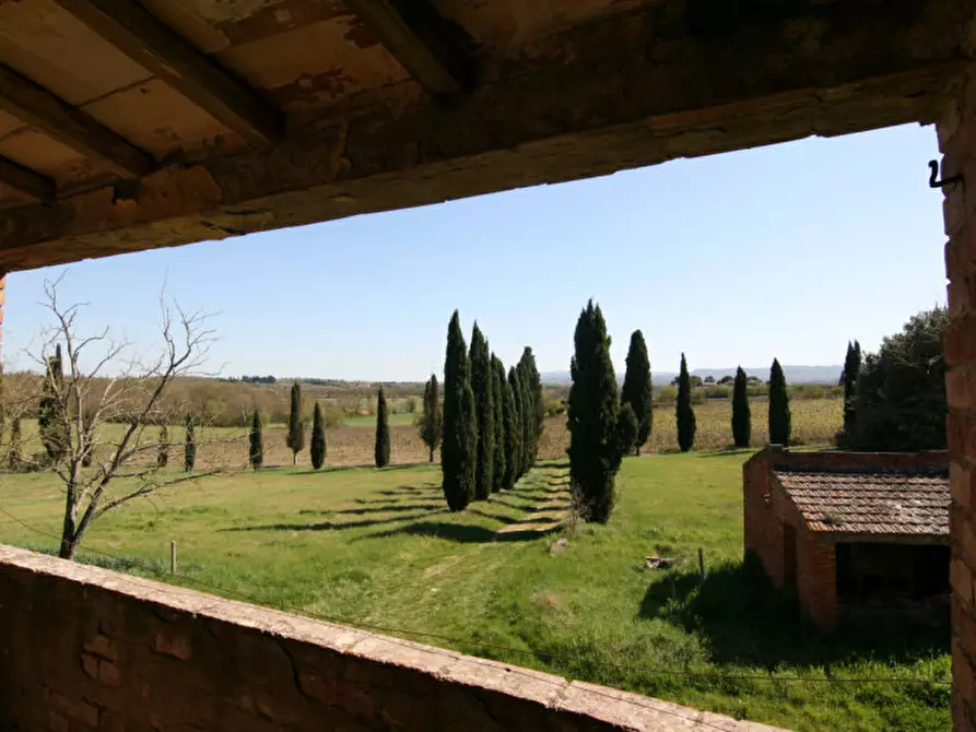 Immagine 20 di Rustico / casale in vendita  a Lucignano