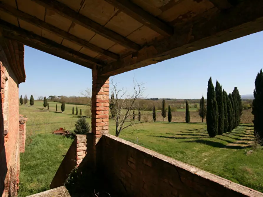 Immagine 21 di Rustico / casale in vendita  a Lucignano