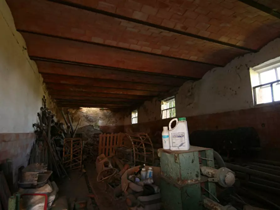 Immagine 22 di Rustico / casale in vendita  a Lucignano